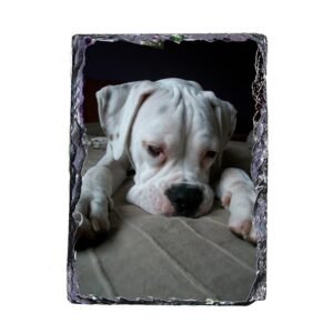 Pizarra personalizada con fotos 15x20 Vertical